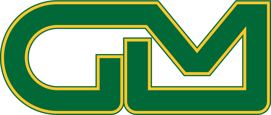 George Mason Patriots 1980-1995 Alternate Logo diy iron on heat transfer